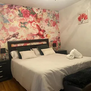  Apartamento Piso Centrico En